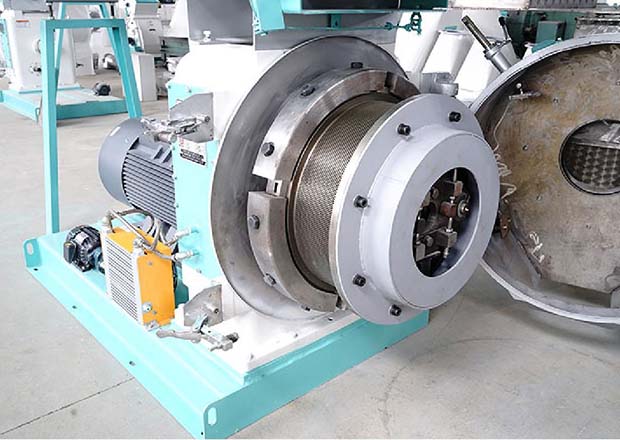 Ring Die/Flat Die Pellet Machine